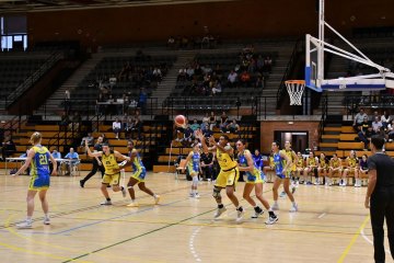 DSC_3031-2