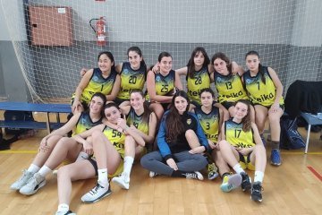 CFC_230219