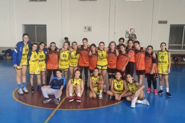 IFC_231118